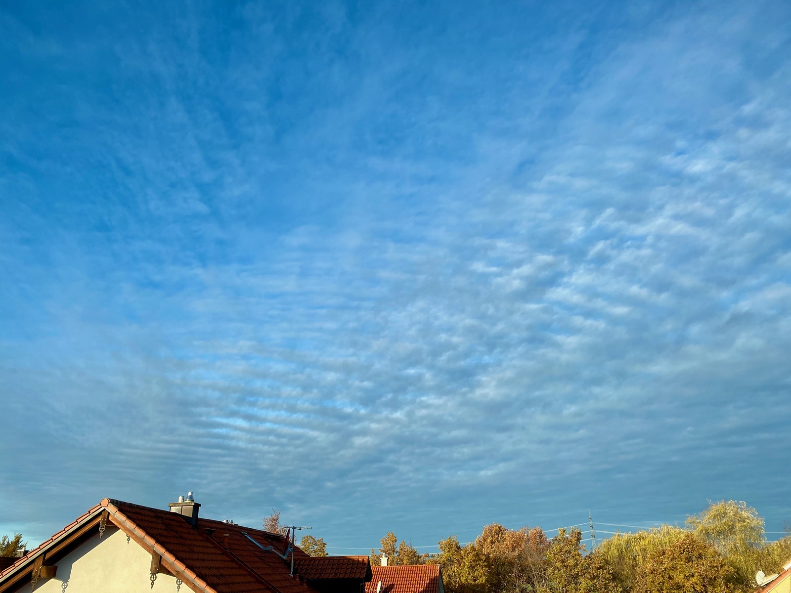 Wochenendwetter - 21./22. November 2020