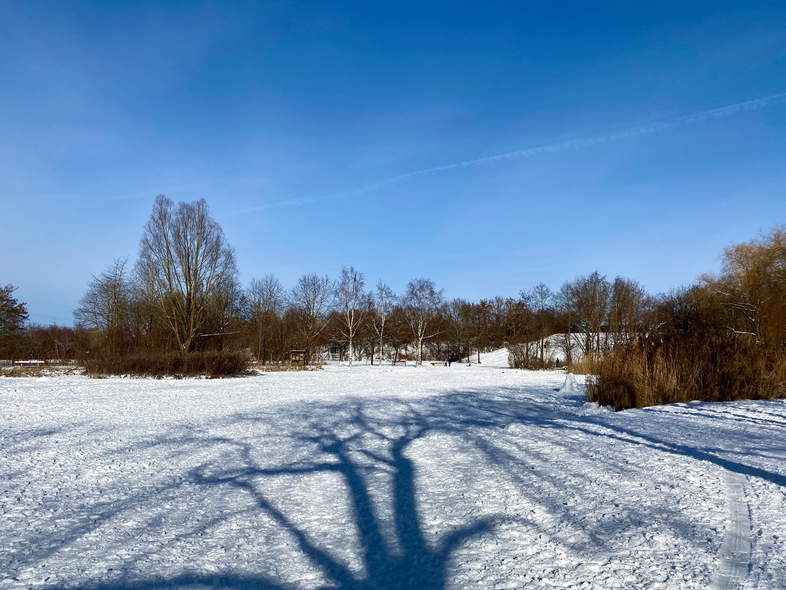 Wochenendwetter - 23./24. Januar 2021