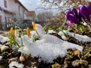 Vorhersagen und Rückblicke von wetter-zorneding.de - page 4