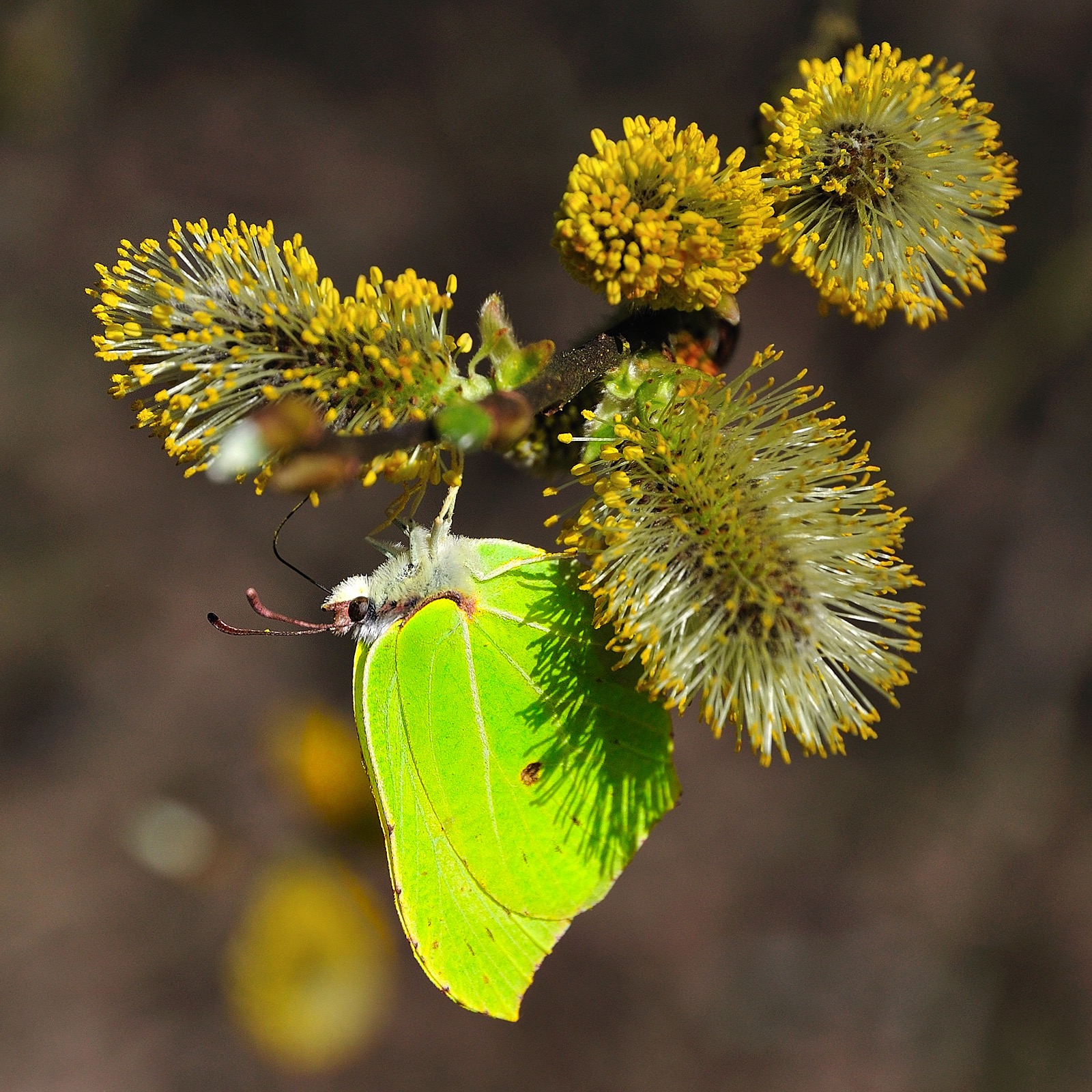 Osterwetter - 3./4. April 2021