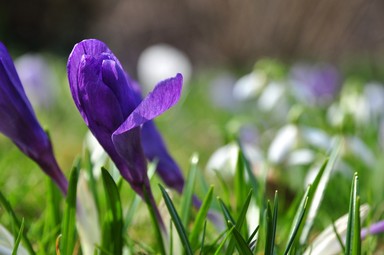 Wochenendwetter - 24./25. April 2021