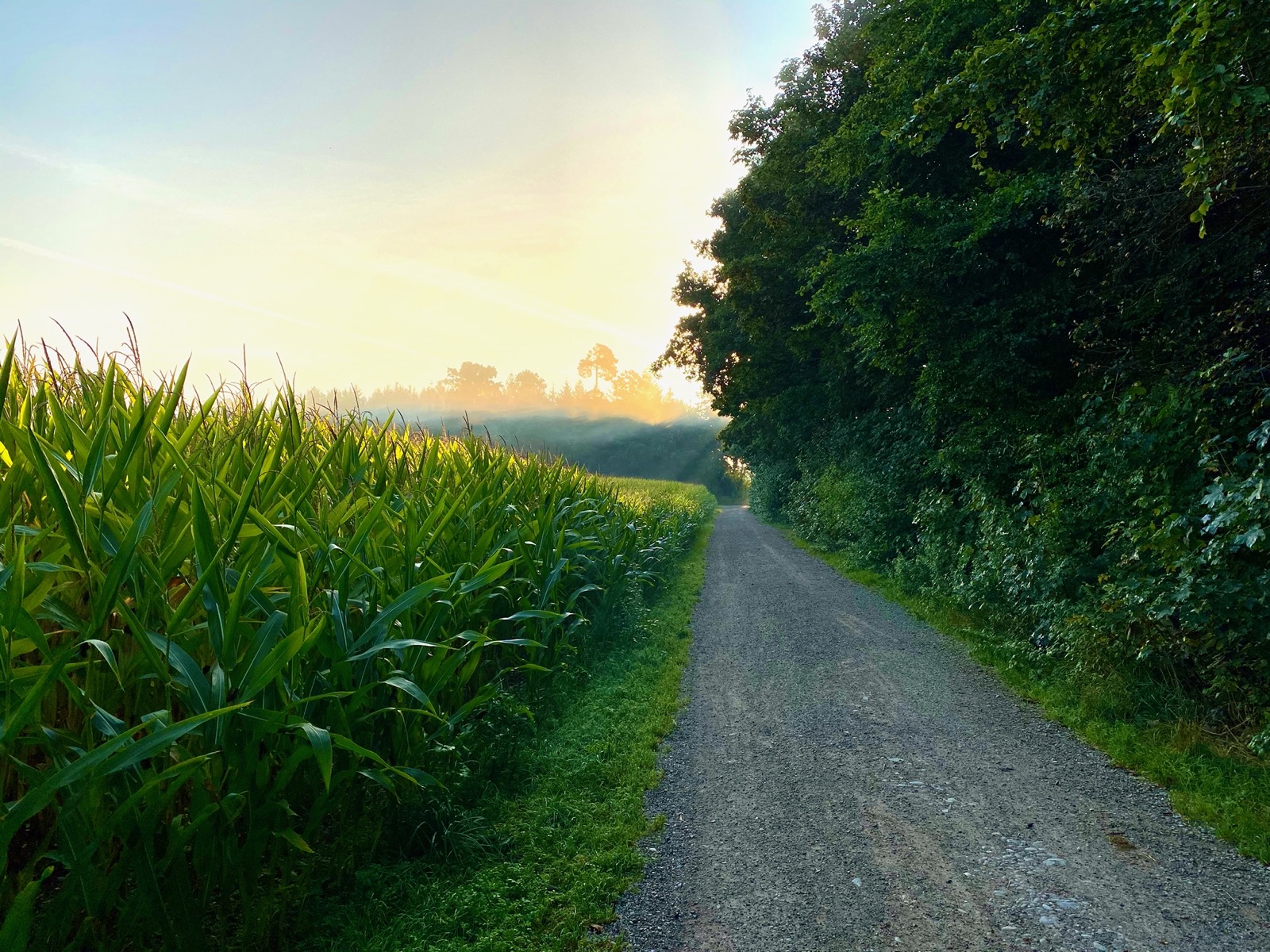 Wochenendwetter - 25./26. September 2021